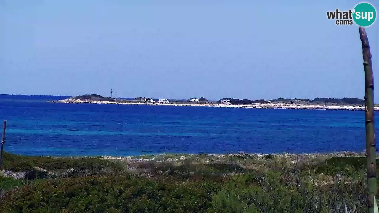 Is Arutas camera en vivo | Oristano – Cerdeña