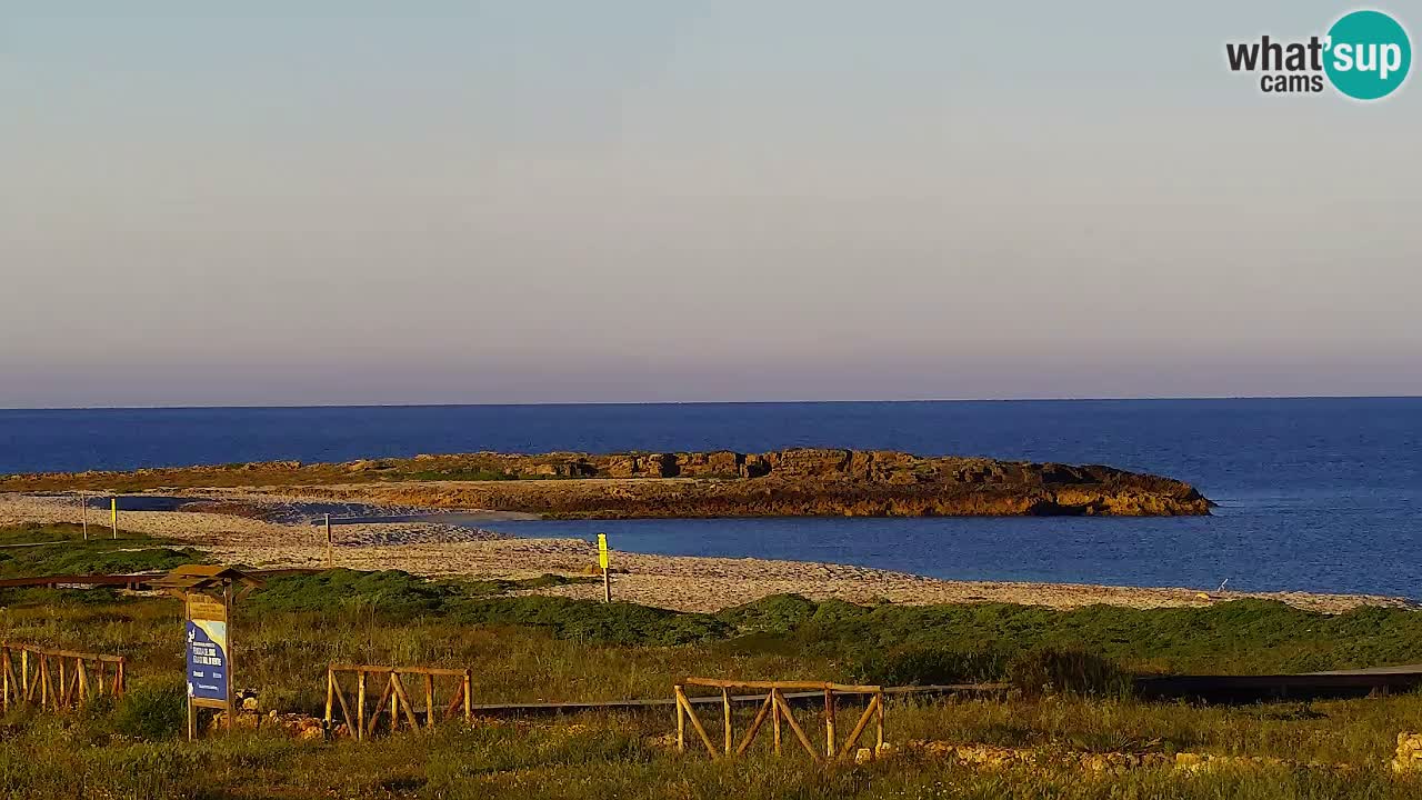 Strand Is Arutas webcam | Oristano – Sardinien