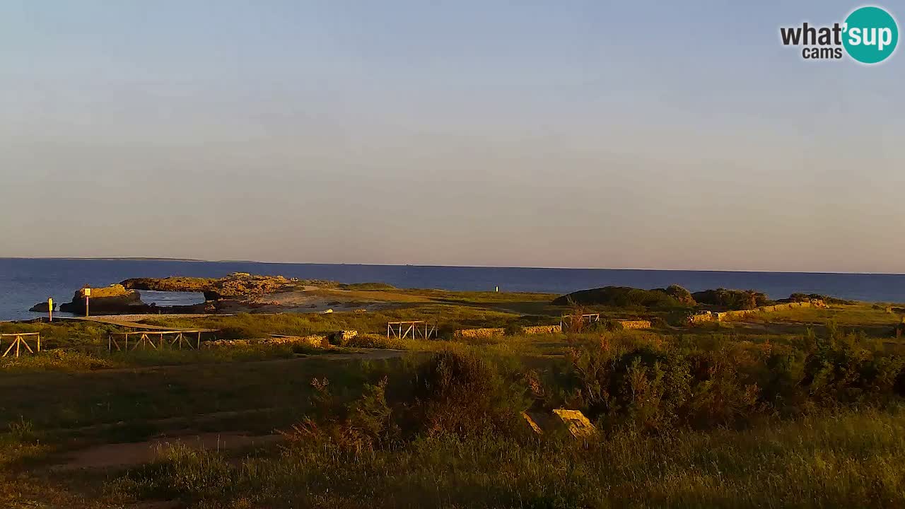 Is Arutas webcam beach | Oristano – Sardinia