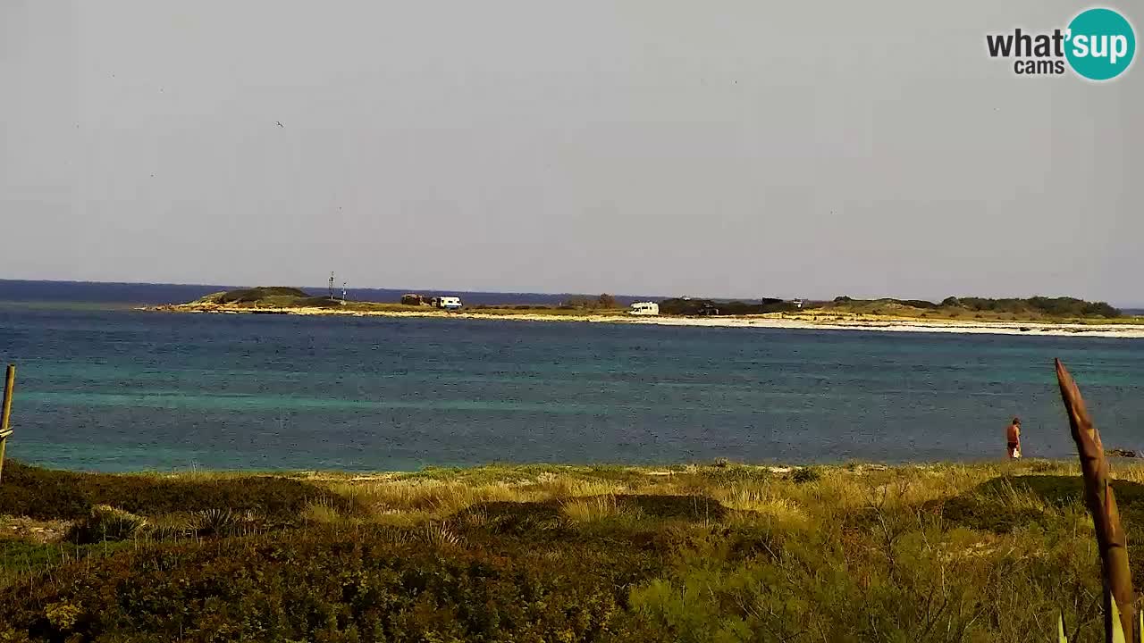 Is Arutas camera en vivo | Oristano – Cerdeña