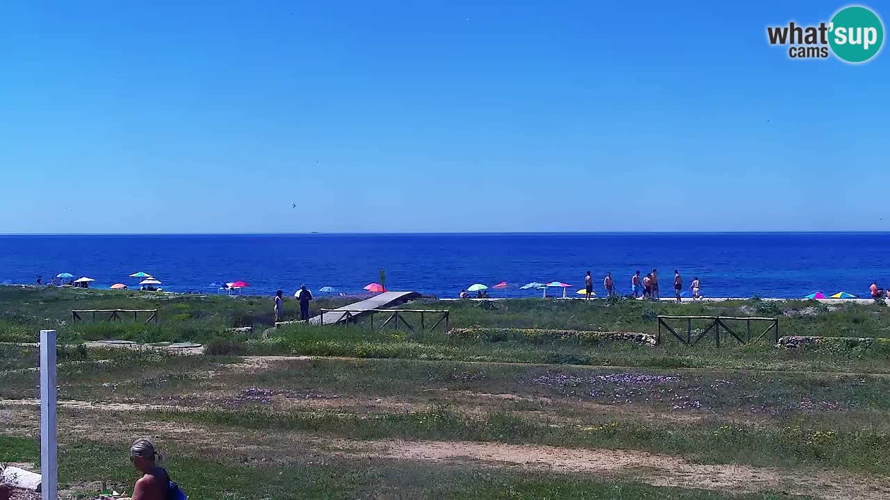 Is Arutas camera en vivo | Oristano – Cerdeña