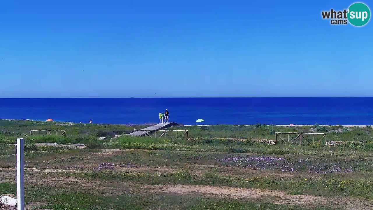 Strand Is Arutas webcam | Oristano – Sardinien