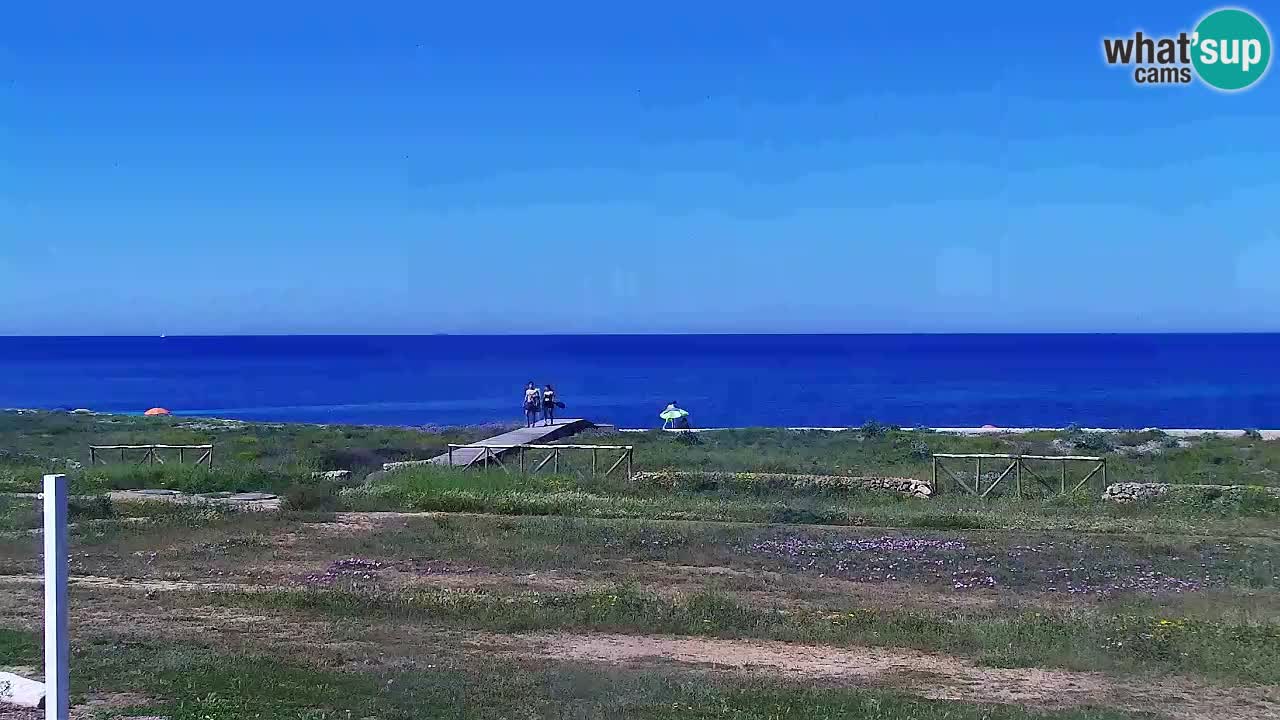Strand Is Arutas webcam | Oristano – Sardinien