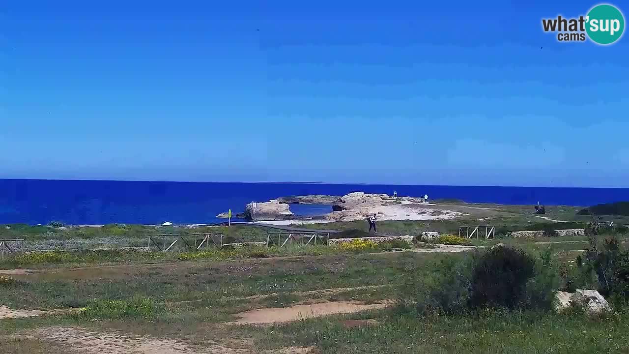 Is Arutas webcam beach | Oristano – Sardinia