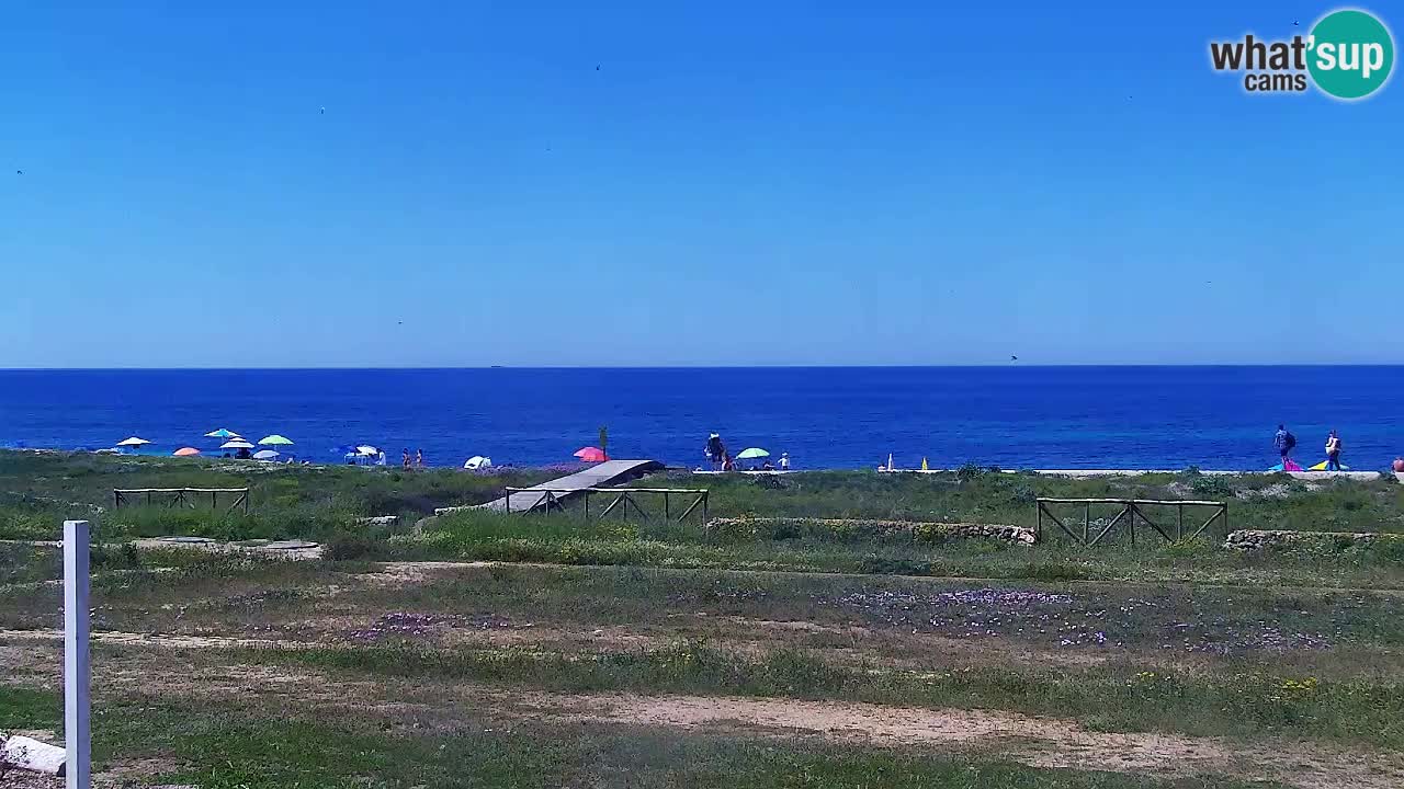 Is Arutas webcam beach | Oristano – Sardinia