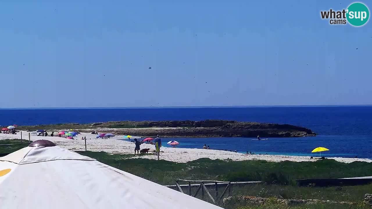 Plaža Is Arutas kamera | Oristano – Sardinija