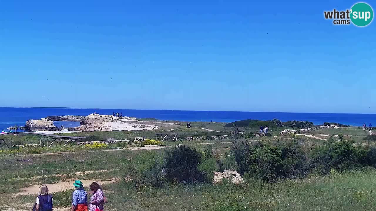 Plaža Is Arutas kamera | Oristano – Sardinija