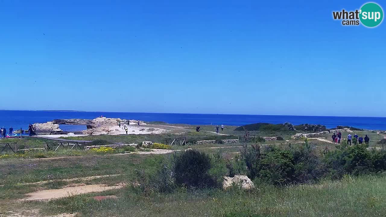 Plaža Is Arutas kamera | Oristano – Sardinija