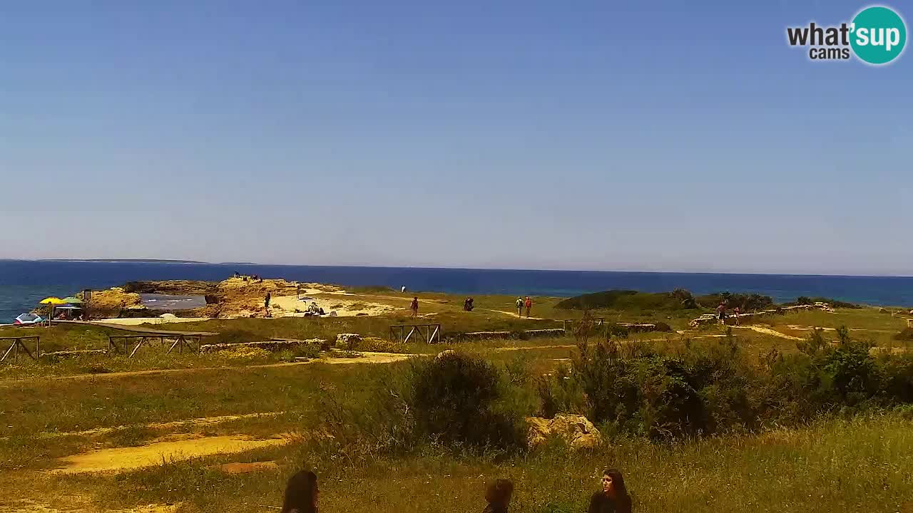 Webcam Is Arutas spiaggia | Oristano – Sardegna