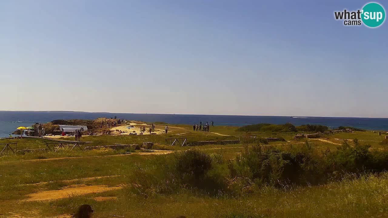 Webcam Is Arutas spiaggia | Oristano – Sardegna