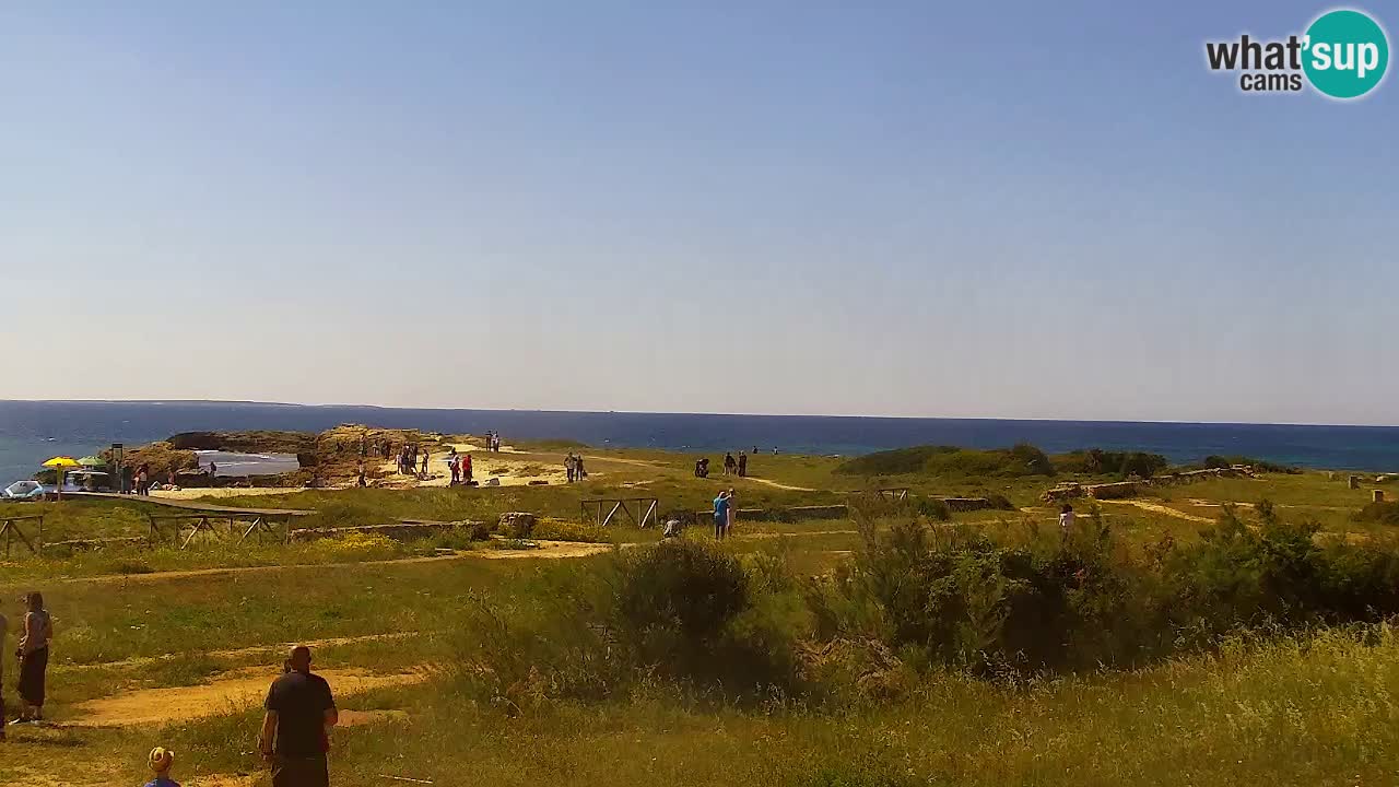 Is Arutas camera en vivo | Oristano – Cerdeña