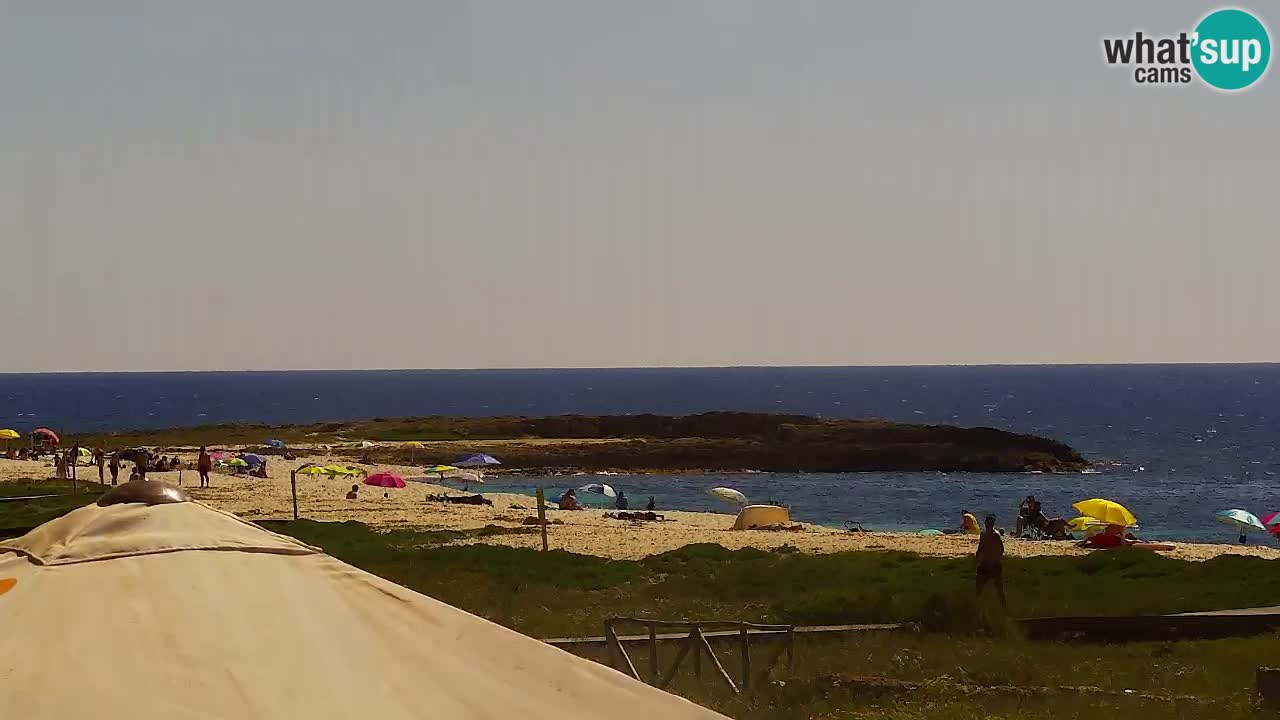 Is Arutas webcam beach | Oristano – Sardinia