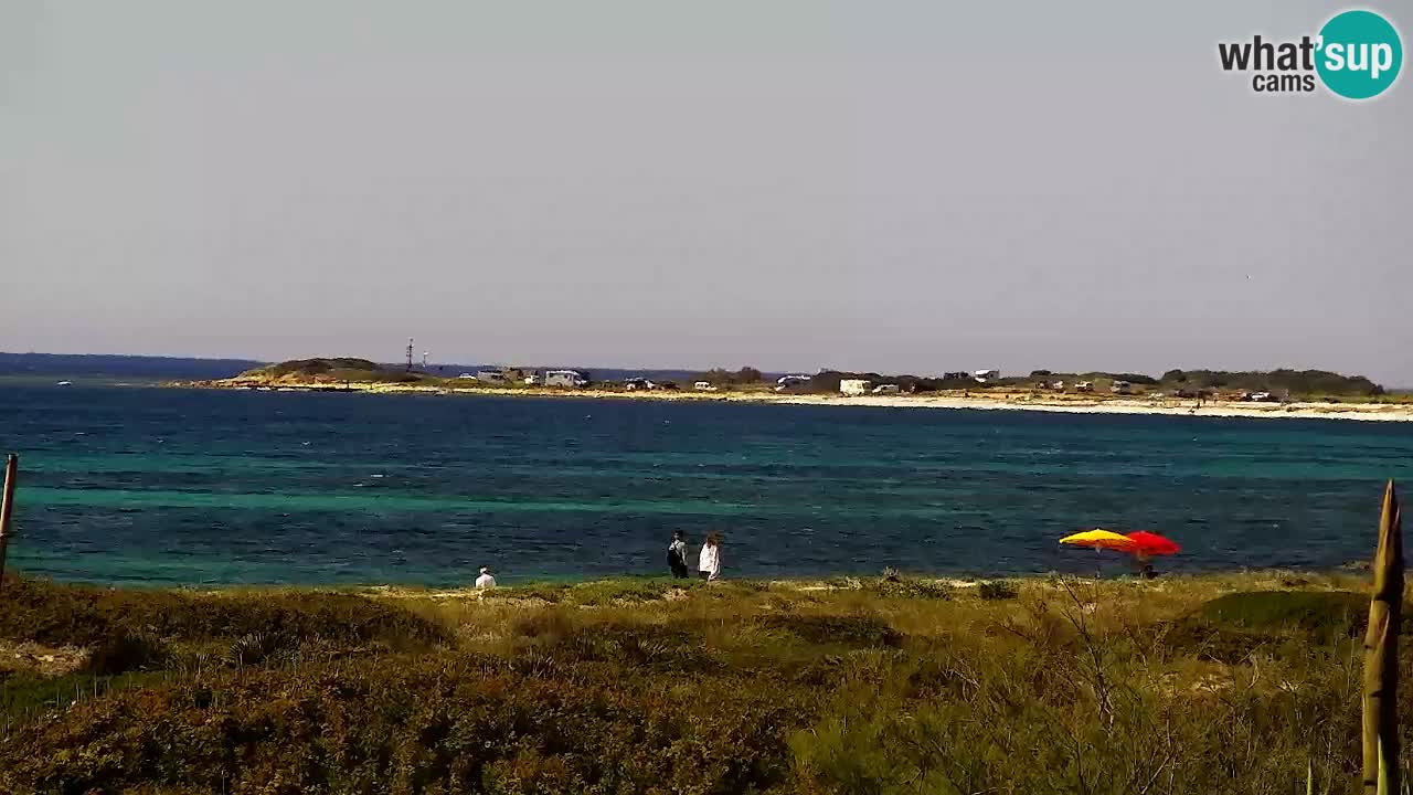 Is Arutas camera en vivo | Oristano – Cerdeña