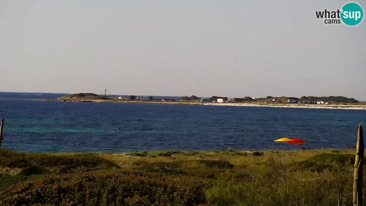 Is Arutas camera en vivo | Oristano – Cerdeña