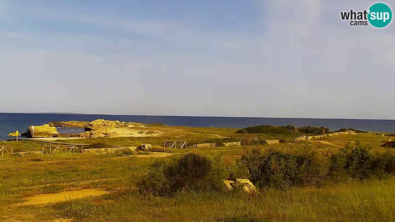 Is Arutas camera en vivo | Oristano – Cerdeña