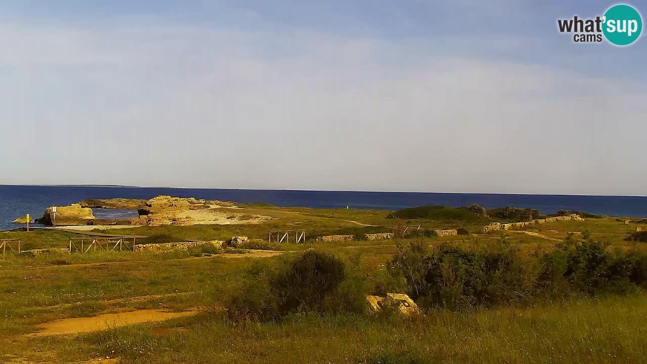 Is Arutas livecam plage | Oristano – Sardaigne