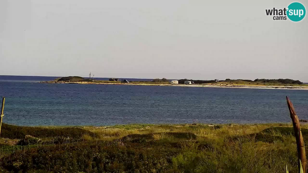 Strand Is Arutas webcam | Oristano – Sardinien