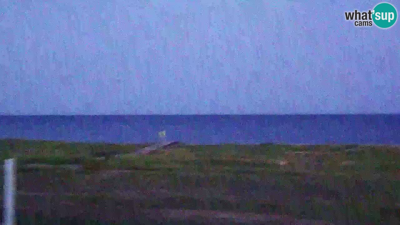Is Arutas camera en vivo | Oristano – Cerdeña