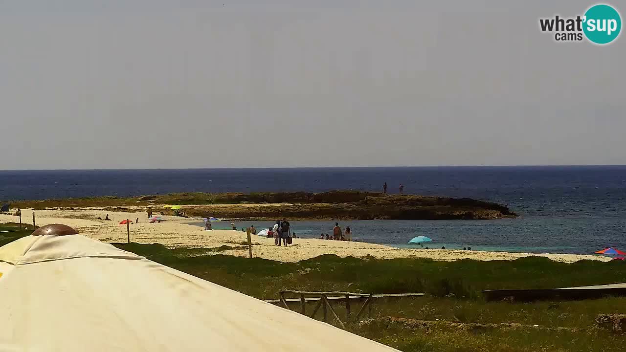 Is Arutas webcam beach | Oristano – Sardinia
