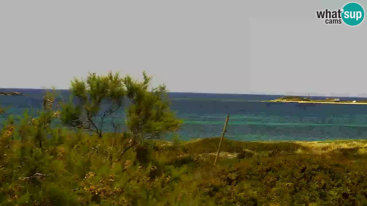 Webcam Is Arutas spiaggia | Oristano – Sardegna