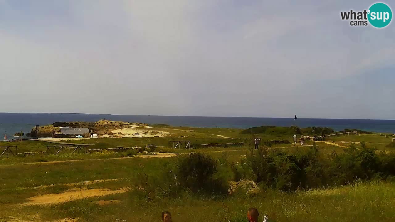 Is Arutas camera en vivo | Oristano – Cerdeña