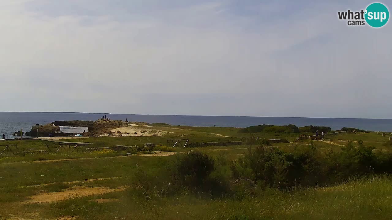 Is Arutas webcam beach | Oristano – Sardinia