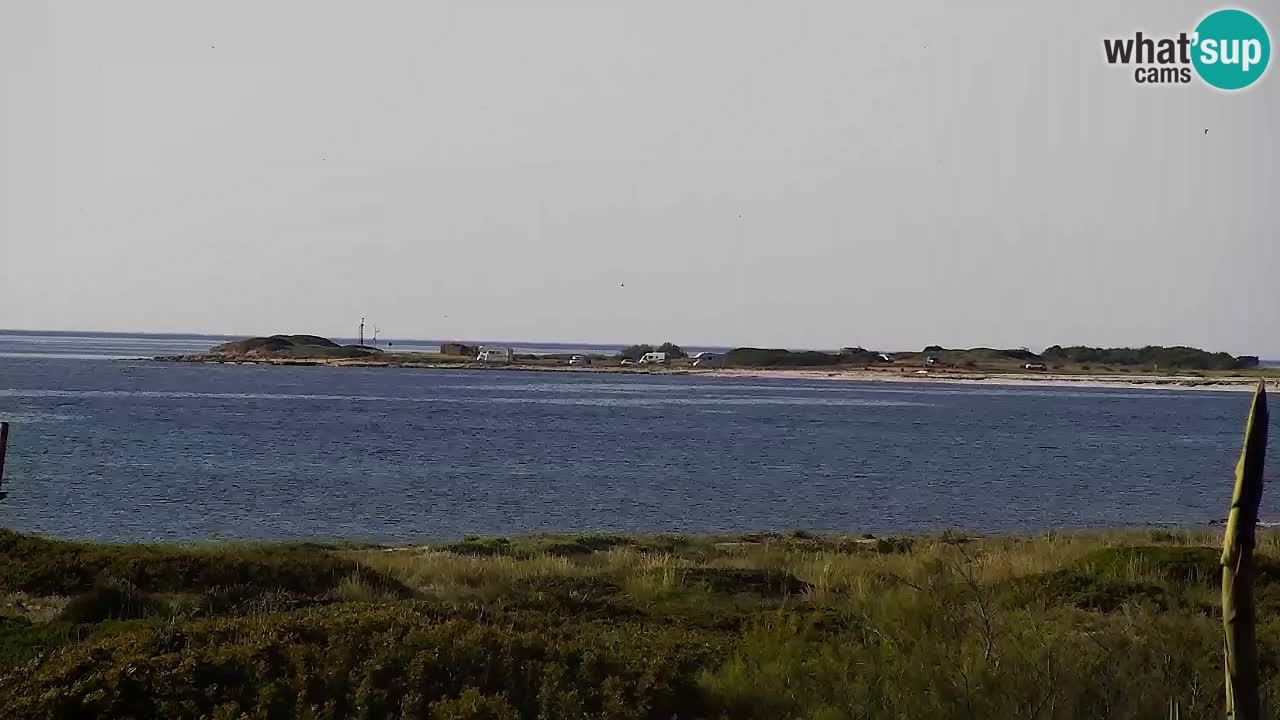 Is Arutas webcam beach | Oristano – Sardinia