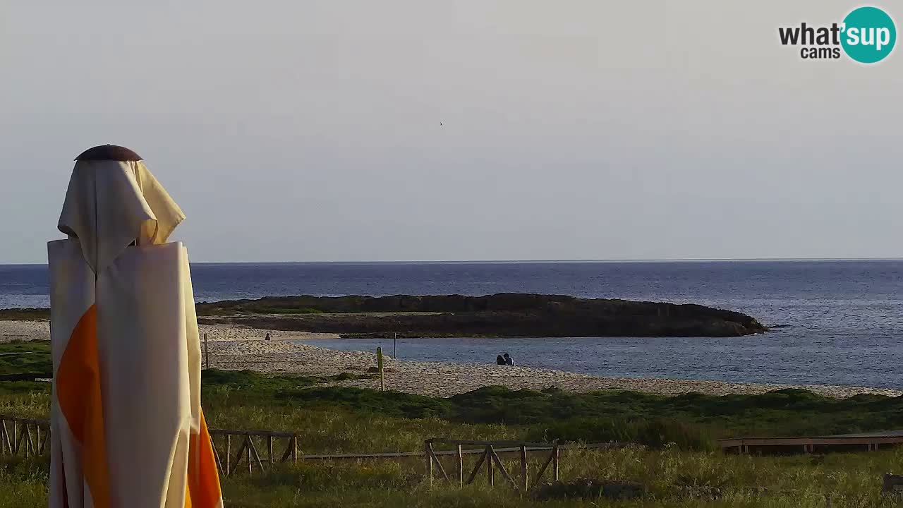 Is Arutas webcam beach | Oristano – Sardinia