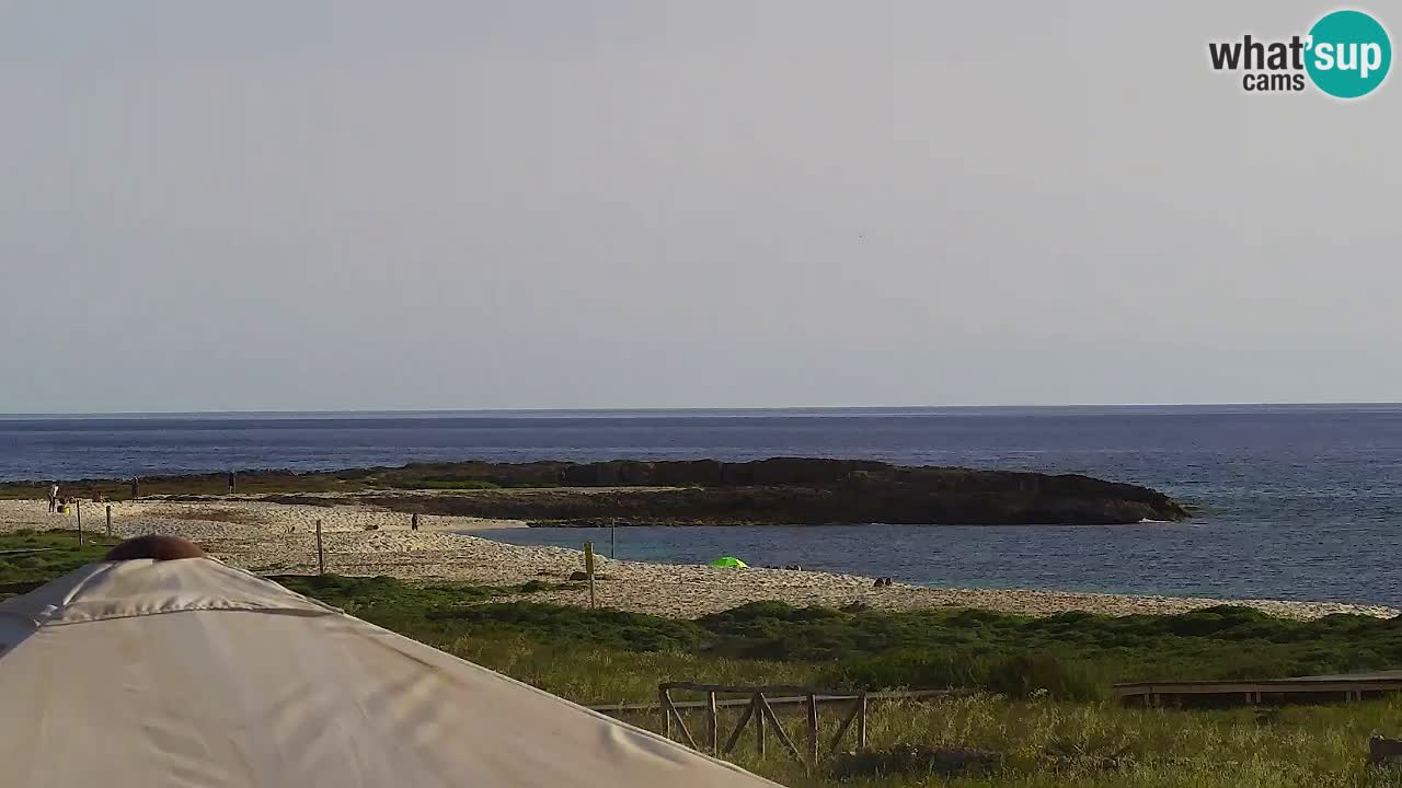 Is Arutas webcam beach | Oristano – Sardinia