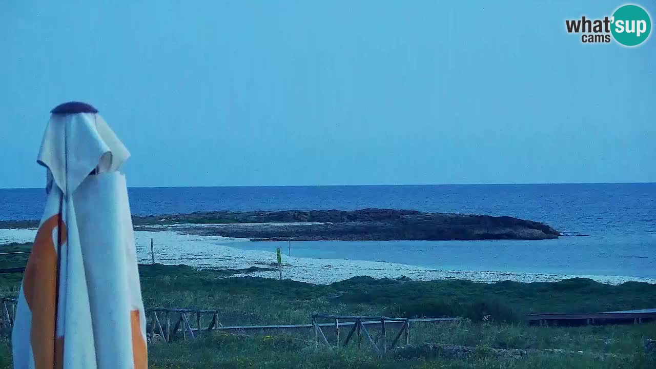 Is Arutas webcam beach | Oristano – Sardinia