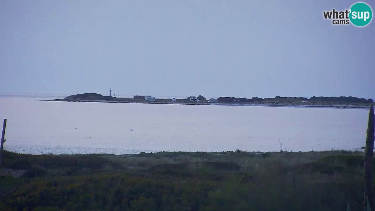 Is Arutas camera en vivo | Oristano – Cerdeña
