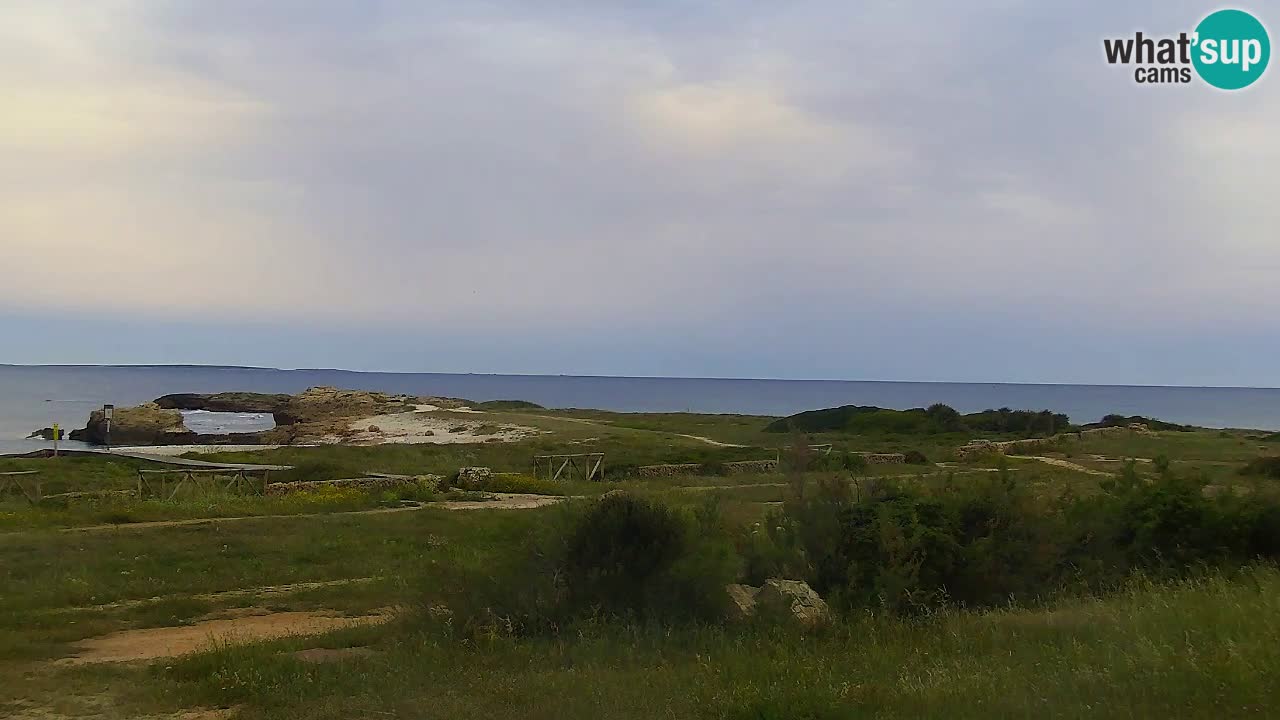 Is Arutas webcam beach | Oristano – Sardinia