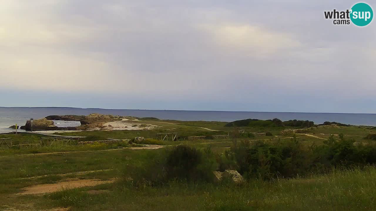 Strand Is Arutas webcam | Oristano – Sardinien