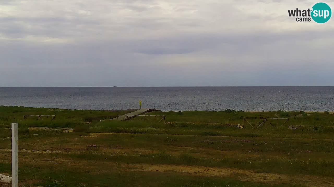 Is Arutas webcam beach | Oristano – Sardinia