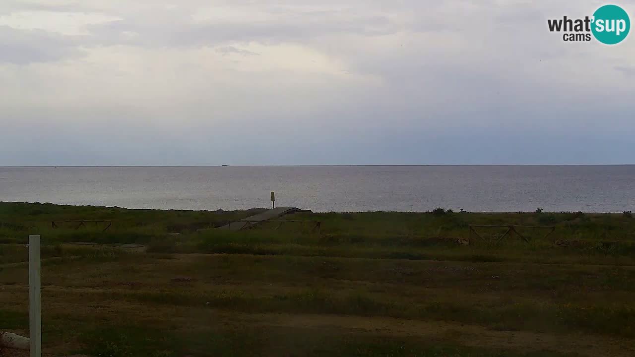 Is Arutas webcam beach | Oristano – Sardinia