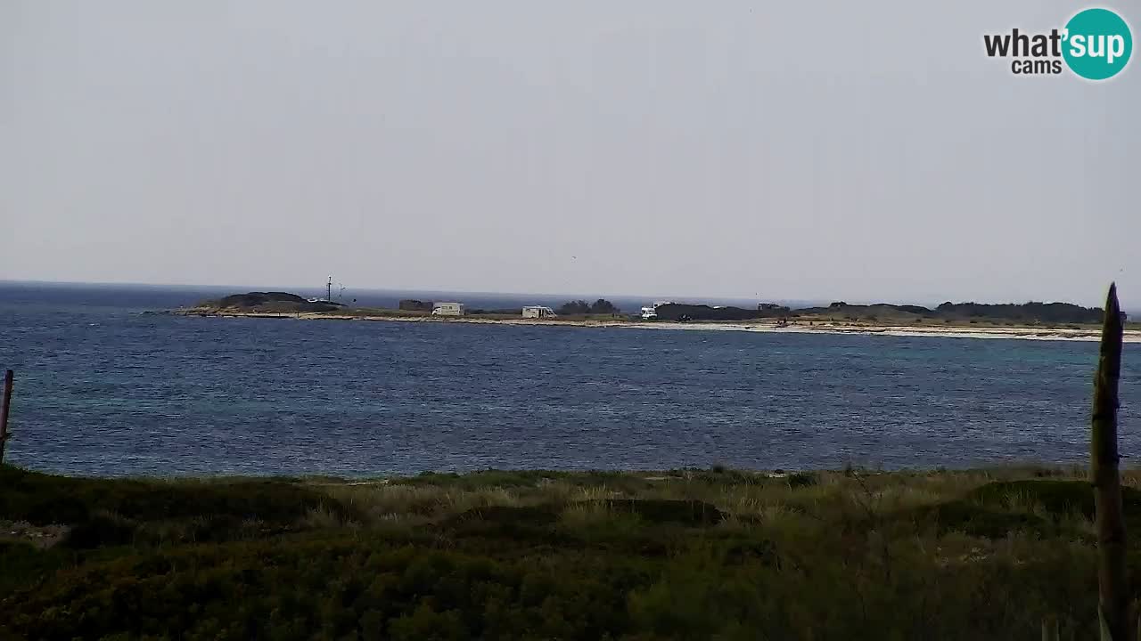 Strand Is Arutas webcam | Oristano – Sardinien