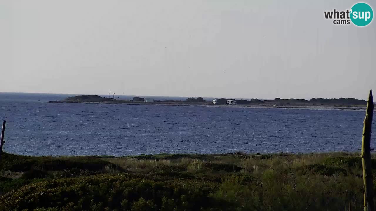 Is Arutas webcam beach | Oristano – Sardinia
