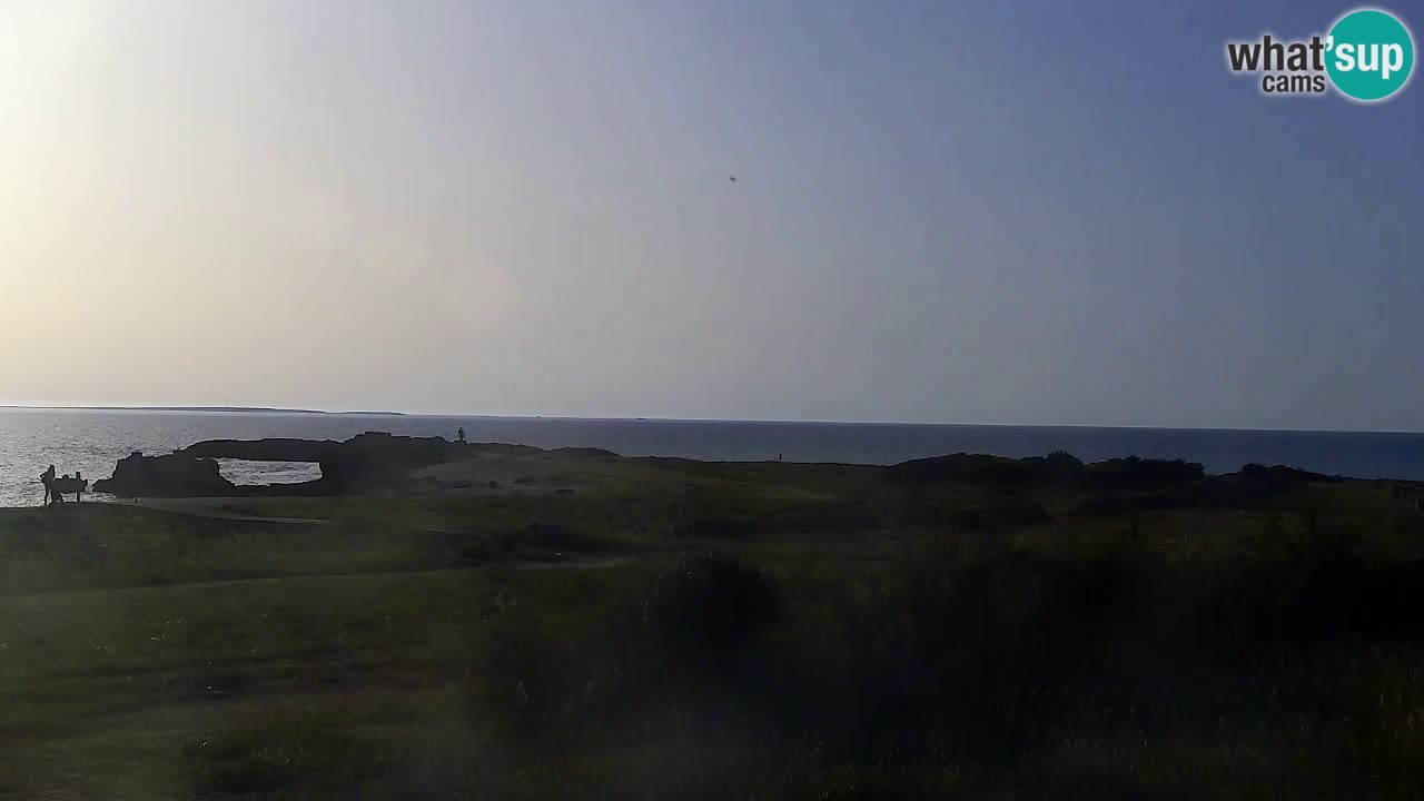 Is Arutas camera en vivo | Oristano – Cerdeña