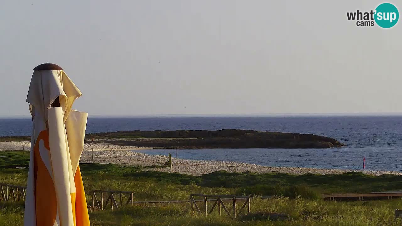 Is Arutas webcam beach | Oristano – Sardinia