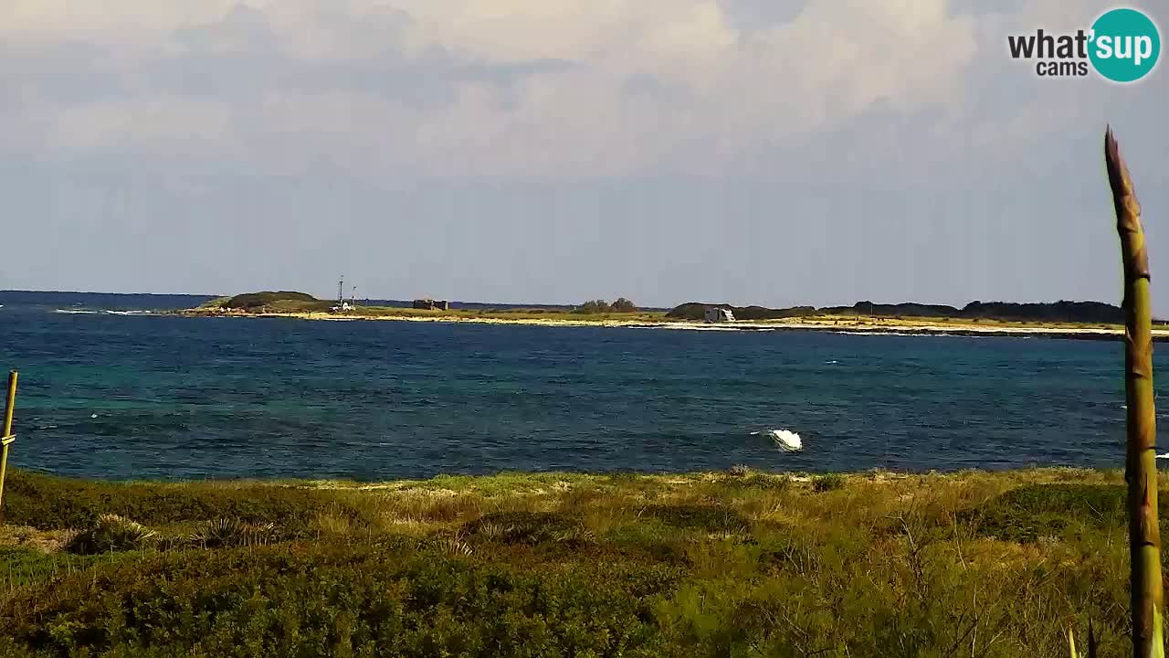 Plaža Is Arutas kamera | Oristano – Sardinija