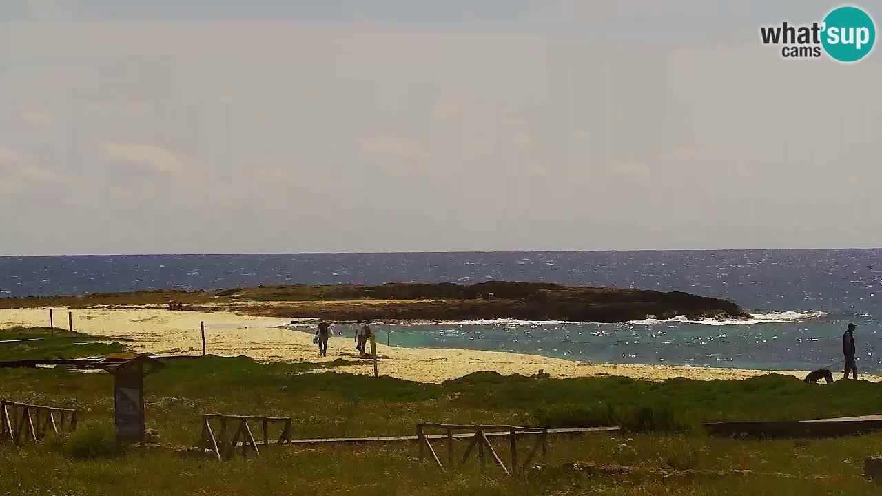 Strand Is Arutas webcam | Oristano – Sardinien