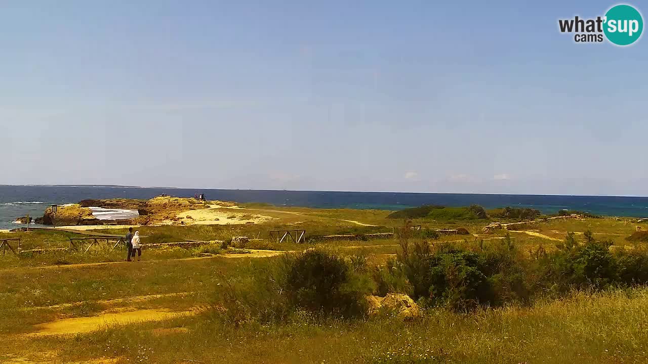 Strand Is Arutas webcam | Oristano – Sardinien