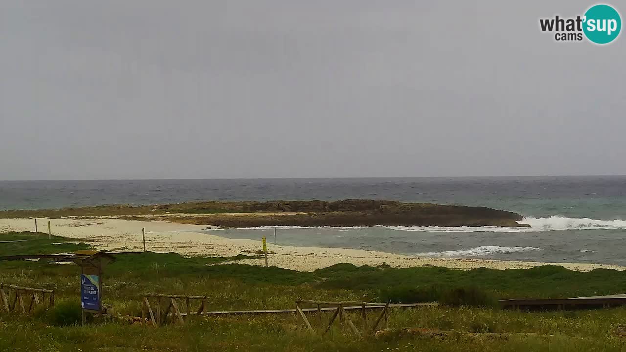 Is Arutas webcam beach | Oristano – Sardinia