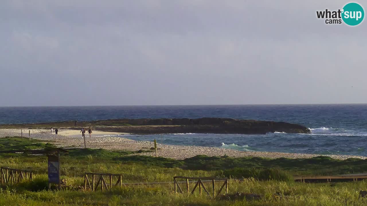 Is Arutas webcam beach | Oristano – Sardinia
