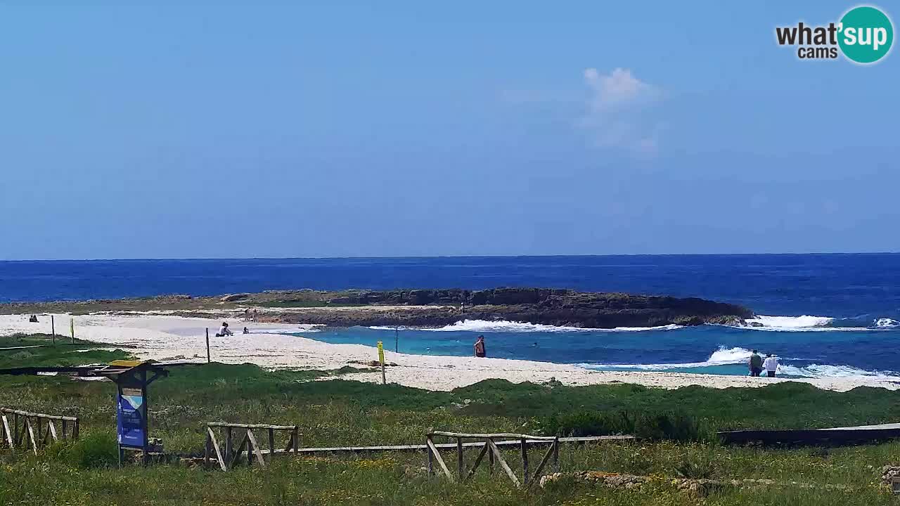 Is Arutas webcam beach | Oristano – Sardinia