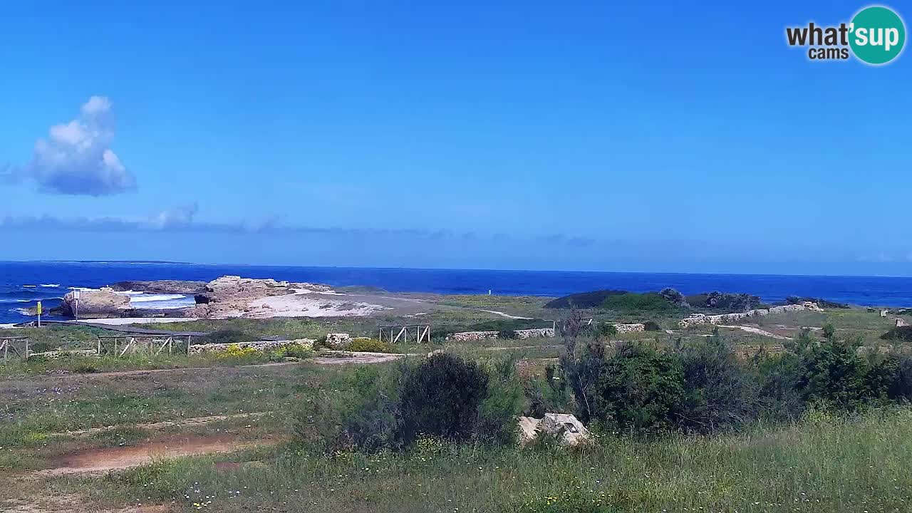 Is Arutas webcam beach | Oristano – Sardinia