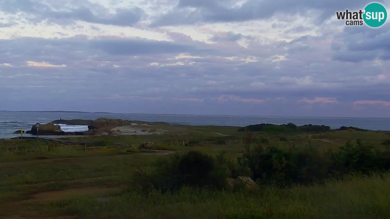 Is Arutas livecam plage | Oristano – Sardaigne