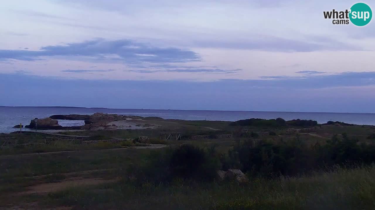 Is Arutas camera en vivo | Oristano – Cerdeña