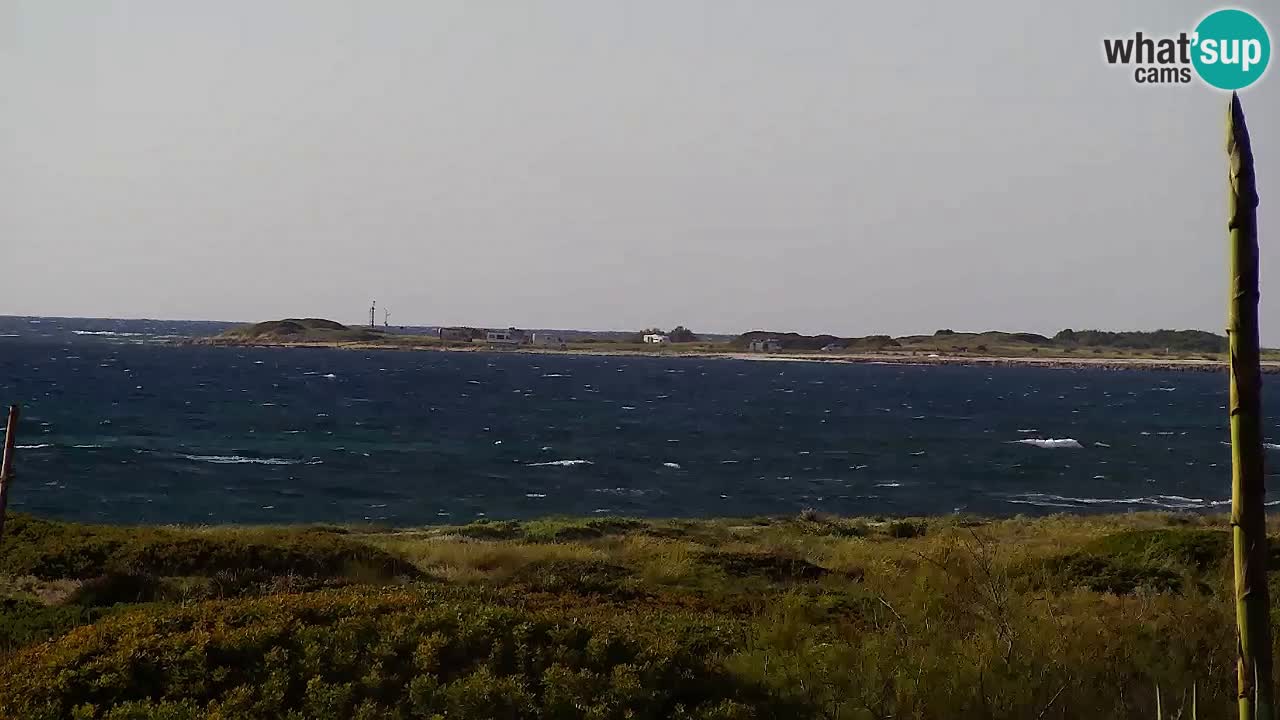 Is Arutas camera en vivo | Oristano – Cerdeña