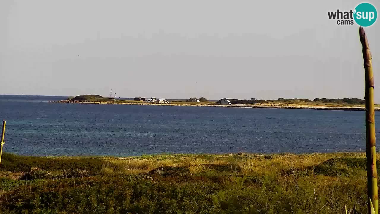 Is Arutas livecam plage | Oristano – Sardaigne